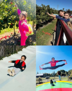 A collage of four pictures; a girl picking an apple; two boys riding in a hay wagon; a boy sliding down a slide built on a hill; and a girl doing the splits in the air over a bounce pillow.
