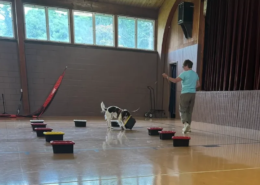 Dog scent training A dog pawing at a tote in a gym with trainer standing nearby during a scent training class at Saint Basil Academy.