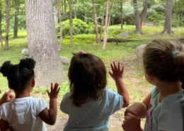 Summer field trip to the zoo Three young girls looking through glass into an animal enclosure at the zoo during a Saint Basil field trip