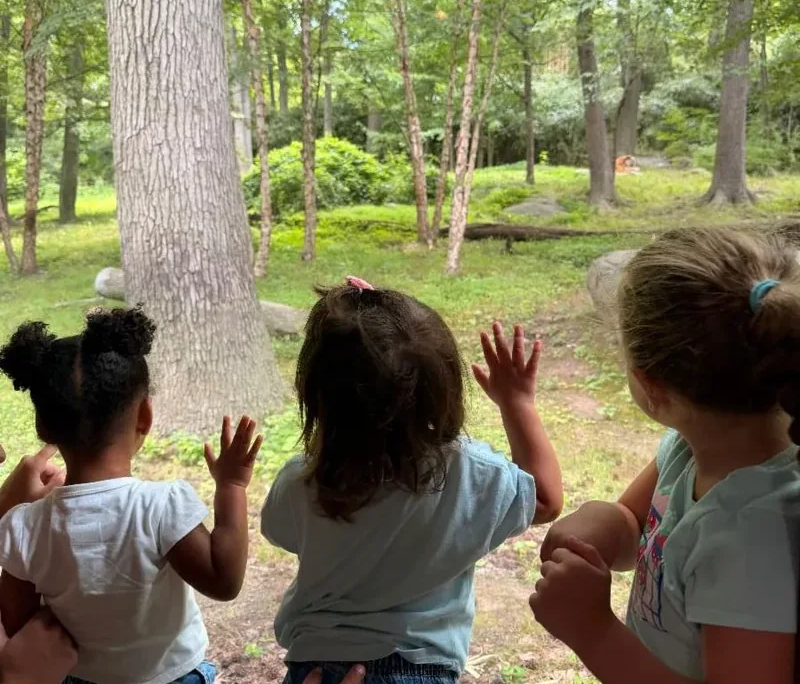 Summer field trip to the zoo Three young girls looking through glass into an animal enclosure at the zoo during a Saint Basil field trip